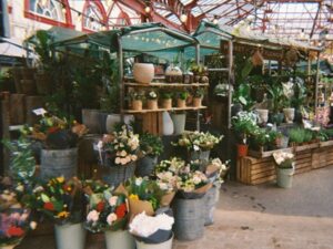 A market stall selling flowers